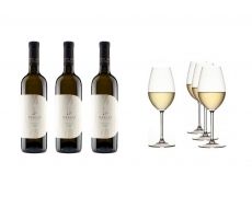 Deklić x RIEDEL Set