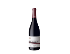 Roxanich Merlot Bordo