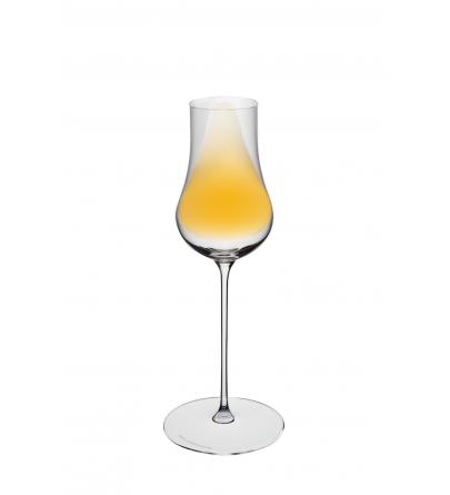 RIEDEL Superleggero Spirits