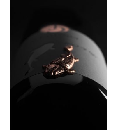 Collefrisio In & Out 